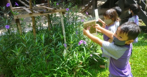 งานสวน ของเด็กๆ ห้องดอกจำปี